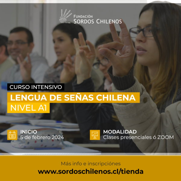 CURSO INTENSIVO: Lengua de Señas Chilena – Nivel A1 – Febrero 2024