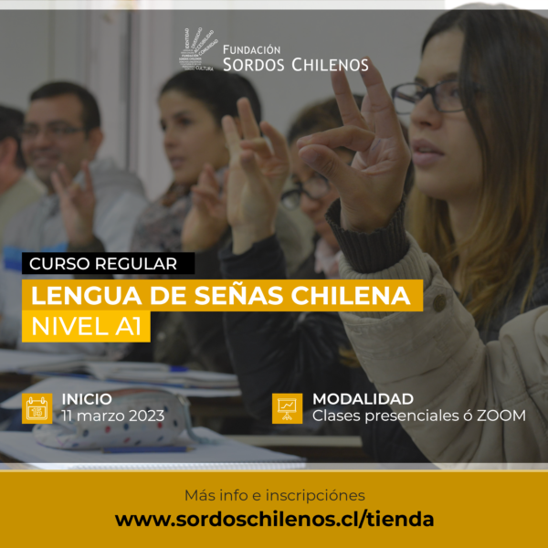 CURSO: Lengua de Señas Chilena – Nivel A1 – Marzo 2024